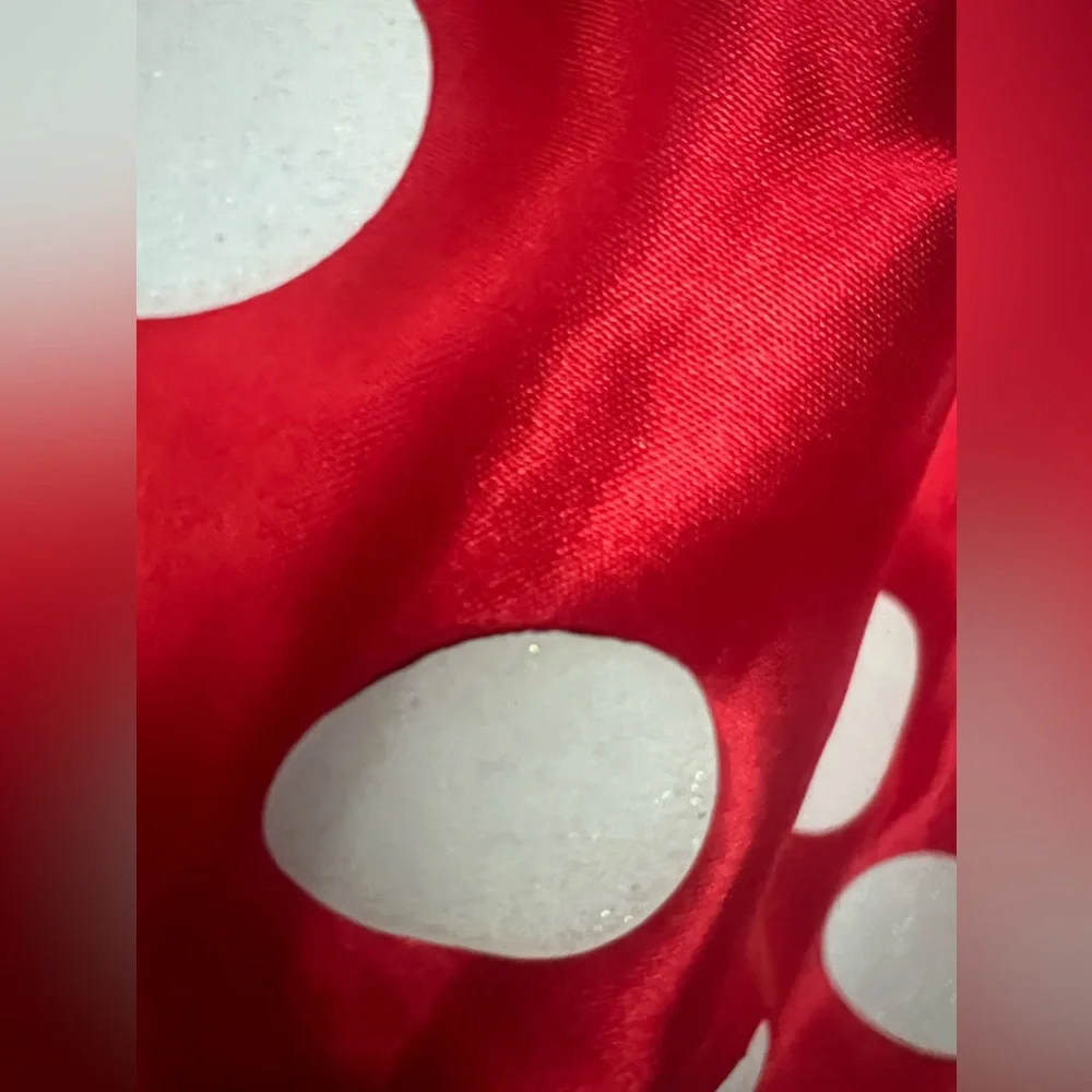 Disney Minnie Mouse red and white polka dots dress costume